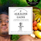 Alkaline Gains Plant-Based Cookbook and Transitioning Guide