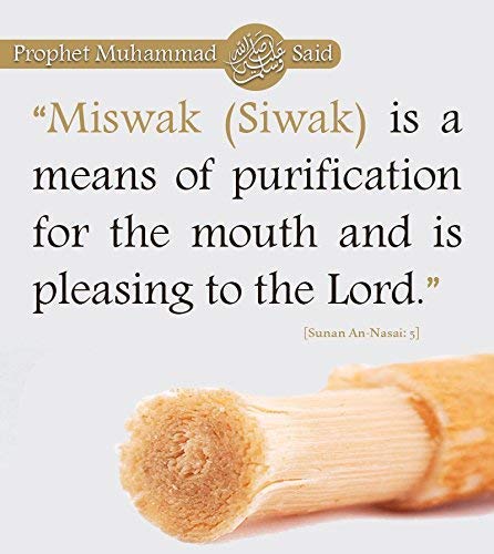 Sewak Al-Falah: Miswak (Traditional Natural Toothbrush)